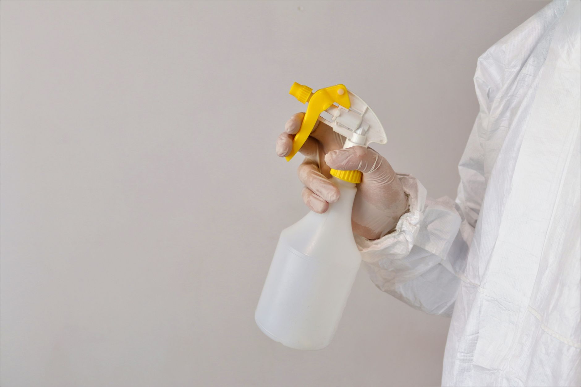 Termite Treatment – Somerset