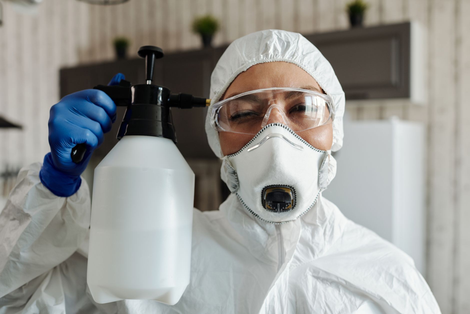 Rodent Control – Somerset