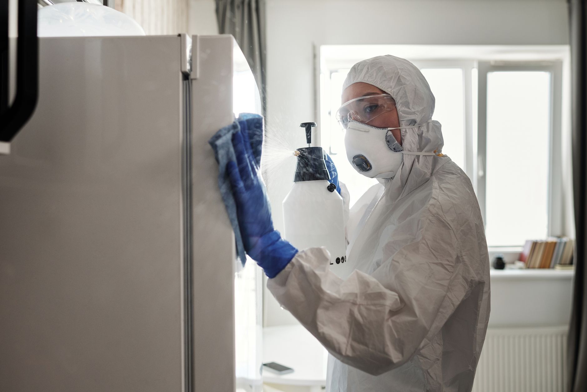 Wasp Nest Removal – Somerset